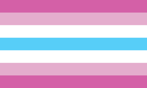 A Femboy Zászló